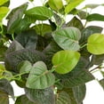 thumbnail image 4 of 18.5" Decorative Artificial Green Two Tone Red Net Floral Bush, 4 of 5