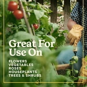 (2 pack) Miracle-Gro Liquafeed All Purpose Plant Food Refill, 16 oz., 4-Pack