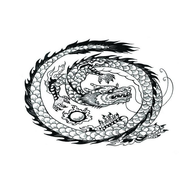Tachiuwa Fond d'Aquarium Réservoir Reptile Vivarium Papier Peint Dragon TG