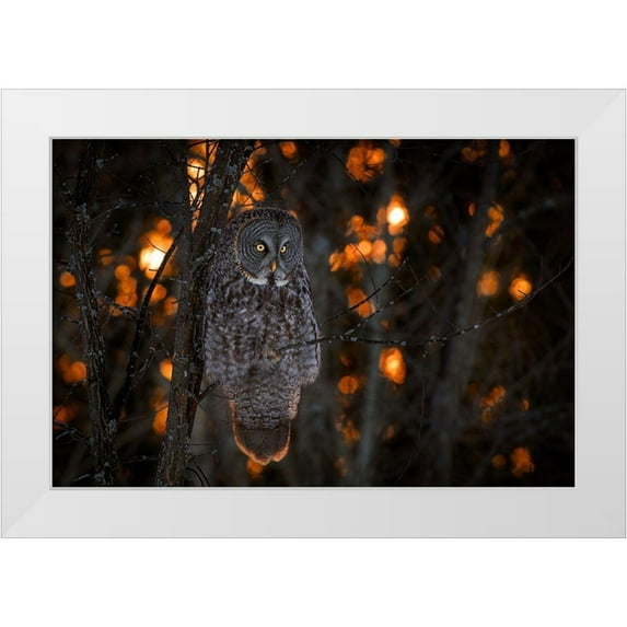 Kalathas, Nick 18x13 White Modern Wood Framed Museum Art Print Titled - As the Sun Goes Down
