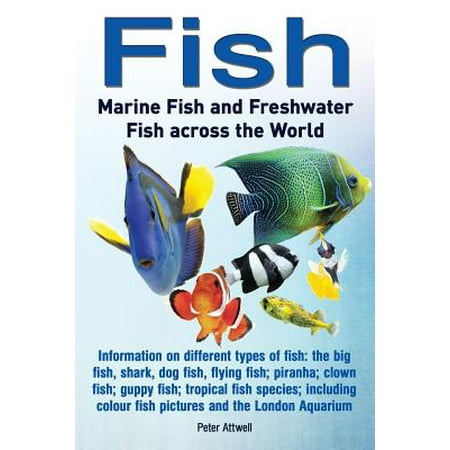 Fish : Marine Fish and Freshwater Fish Across the World: Information on Different Types of Fish: The Big Fish, Shark, Dog