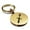 Gold, variant on Stainless Steel Sagittarius Zodiac Sign (Centaur Archer) Round Medallion Keychain Circle Ring