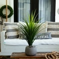 thumbnail image 5 of Nearly Natural 3ft. UV Resistant Artificial Grass Plant (Indoor/Outdoor), 5 of 5