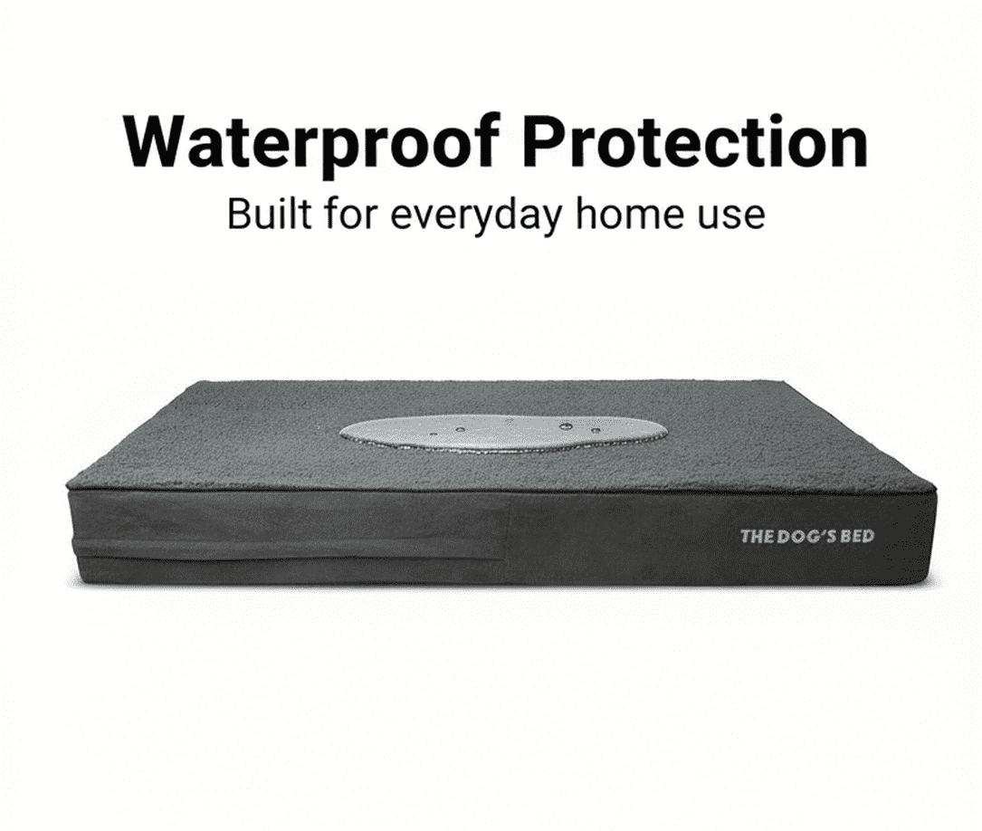The Dog’s Bed Orthopedic Memory Foam Dog Bed, XL Grey Plush 46x28x4, Pain Relief for Arthritis, Hip & Elbow Dysplasia, Post Surgery, Lameness, Supportive, Calming, Waterproof Washable Cover