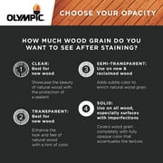 Olympic WaterGuard 1 Gallon Clear Exterior Waterproofing Wood Sealer