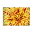 thumbnail image 2 of Gango Home Decor Red Striped Dahlia by George Johnson (Printed on Paper); One 36x24in Fine Art Paper Giclee Print, 2 of 4