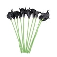 thumbnail image 1 of FENGGUIQU 10Ud Flor Artificial Calla Lily Para Ambientes Y Eventos, 1 of 7