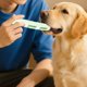 thumbnail image 2 of Salchicha masticable Rellenable para la salud Dentición Estimulación mental Dispensador para masticadores agresivos Cachorro interactivo para pequeños, medianos y grandes, 2 of 4