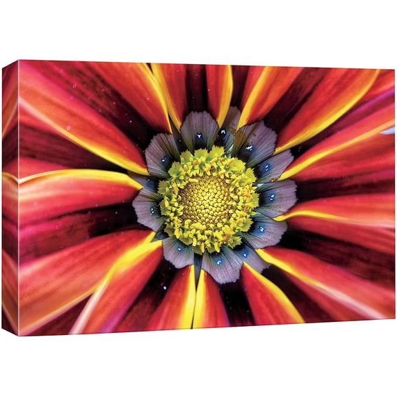 IDEA4WALL Canvas Wall Art Blooming Red, Yellow and Black Chrysanthemum Floral Flower Photography Realism Modern Closeup Colorful for Living Room, Bedroom, Office - 12"x18"