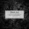 thumbnail image 3 of LITTLE TREES air freshener Black Ice 3-Pack, 3 of 8