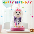 thumbnail image 4 of 2 Pack Halloween Dog Bandana Reversible Triangle Bibs Scarf Accessories, 4 of 5