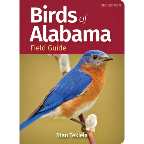 Bird Identification Guides Birds of Alabama Field Guide, (Paperback)