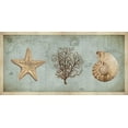 thumbnail image 2 of Devellier, Deborah 14x9 White Modern Wood Framed Museum Art Print Titled - Sea Treasures II, 2 of 4