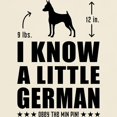 thumbnail image 3 of CafePress - LITTLE GERMAN Min Pin Light T Shirt - Men's Classic Graphic T-Shirt, 3 of 4