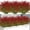 Red, variant on Scidweet Artificial Fall Plants Outdoor, 16 Bundles Fake Grass Autumn Faux Plastic Plants Fall Decorations for Home Garden Porch, Patio, Yard Decor, Orange
