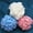 Assorted, variant on Loofah Bath Sponge,Lace Mesh Bath Sponge, Body Luffa Loofa Loufa Puff for Women Men Kids, Assorted Color, Yayun,Set of 3