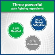 Salonpas Pain Relieving Patch, 20 Count (Pack of 1)