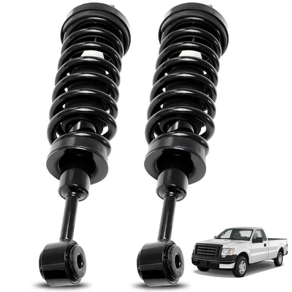 TOPAZ 2X Left & Right Front Struts 171361 For 2004-2008 Ford F-150 2006-2008 Lincoln Mark LT