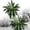 D, variant on TIELUTT 50cm Large Fern Family Gardens Indoor and Outdoor Ferns Outdoor Wedding Silk Flowers Big Flowers Winter Door Decorating Ideas Small Flowers in Rose Roses Flowers