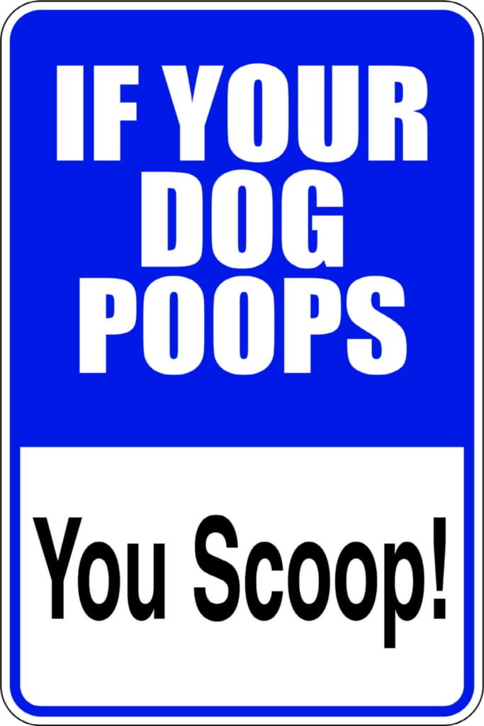 Family If Your Dog Poops You Scoop Funny Pets Wall Decal Decoration You