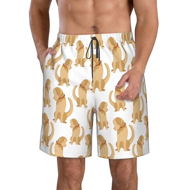 Fotbe Labrador Retriever Dog Trajes de Baño Estampados para Hombre, Shorts de Verano de Secado Rápido, Ropa de Playa, Bañadores-Small