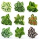 thumbnail image 5 of Flor artificial Planta verde Planta en maceta Decoración de pared Simulación de plantas Hojas Fondo Pared Arreglo floral Materiales a juego Verde, 5 of 6