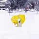 thumbnail image 3 of Bewildely Chick luminoso de invierno de Navidad con bufanda, manualidades de escritorio, luces nocturnas, jardín plano, escultura al aire libre, Kits de decoración para fiestas Tipo 2, 3 of 6