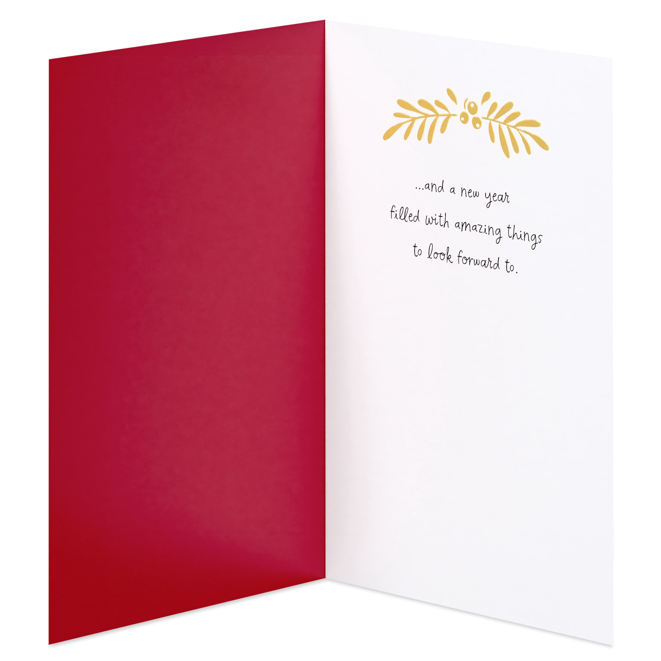 American Greetings Christmas Card for Anyone, Leaves on Red (Amazing Things)