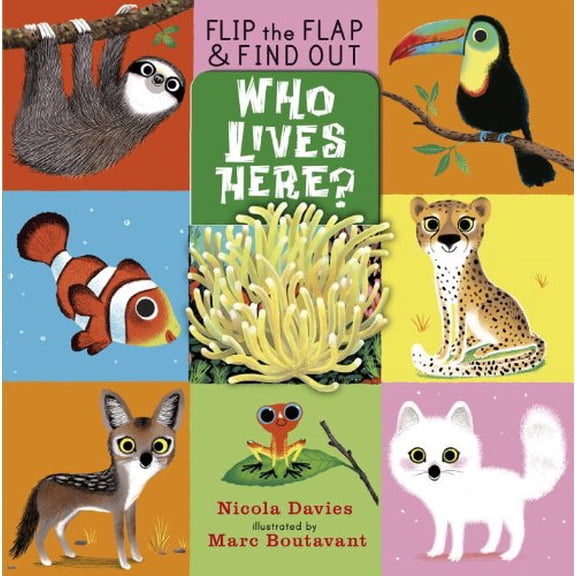 Pre-Owned Who Lives Here? (Flip the Flap & Find Out) Hardcover