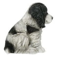 thumbnail image 5 of Ebros Lifelike Pet Pal English Cocker Spaniel Dog Puppy Sitting Figurine 5.75"H, 5 of 8