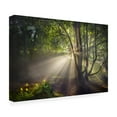 thumbnail image 4 of Canvas Wall Art - Fran Osuna 'The Morning Light' Wall Art for Living Room, Bedroom, or Office Décor by Trademark Fine Art - 24 x 16 Inches, 4 of 4
