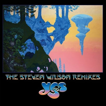 Steven Wilson Remixes (Vinyl) (Top 10 Best Remixes)