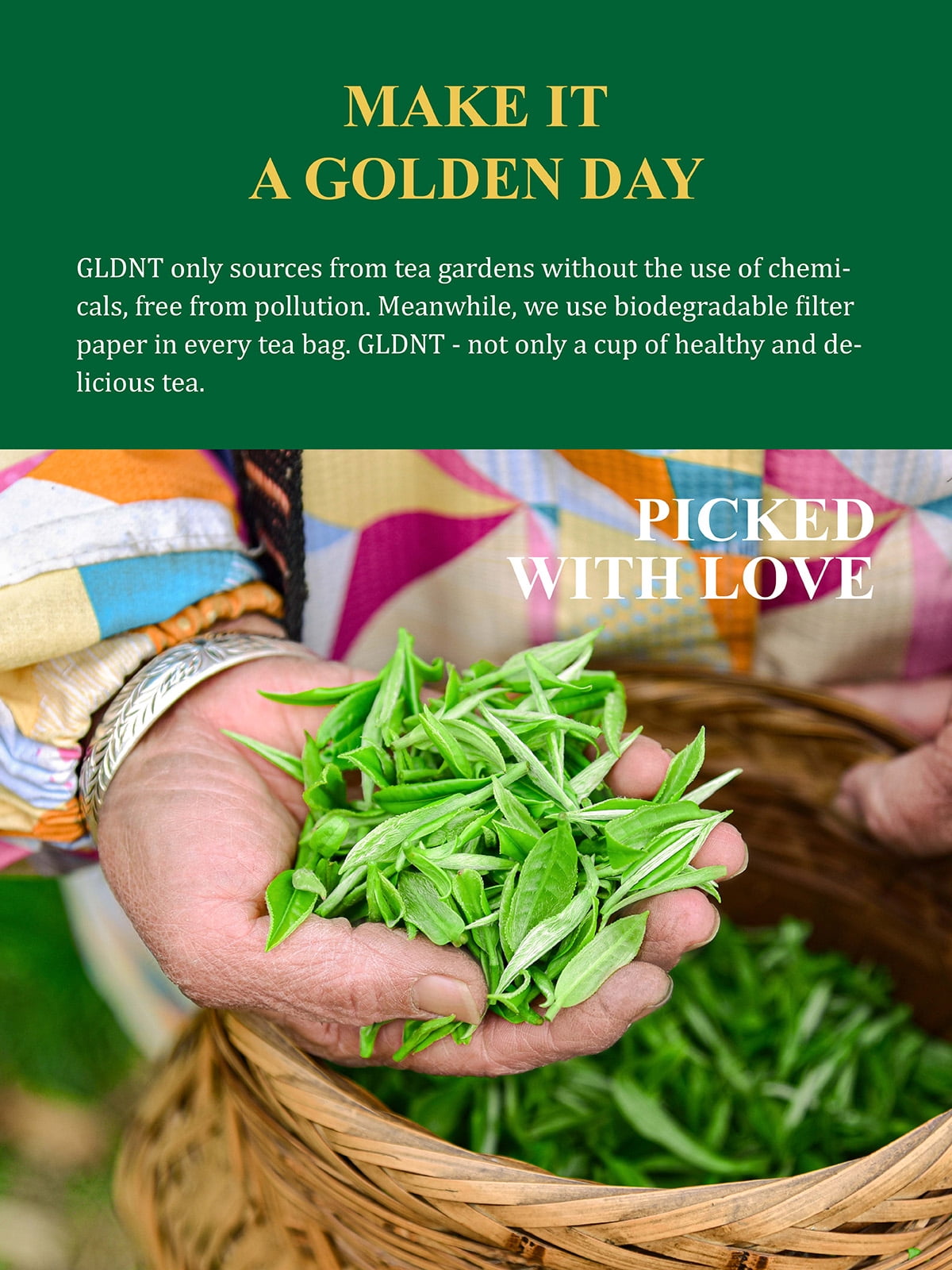 GLDNT Organic Green Tea, Loose Leaf, High Mountain, Smooth & Delicate Flavor, Caffeinated, 16oz