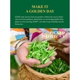 thumbnail image 4 of GLDNT Organic Green Tea, Loose Leaf, High Mountain, Smooth & Delicate Flavor, Caffeinated, 16oz, 4 of 8
