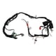 thumbnail image 1 of Arnes Electrico Italika Ft 250 Ts (21-23), 1 of 3