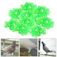 thumbnail image 3 of 100x Bandas Reutilizables de Pájaros, Anillos para Patas de Paloma, Etiquetas de Plástico de Carreras, Herramienta de Identificación de , Verde Salvador Anillos de patas de pájaros, 3 of 9