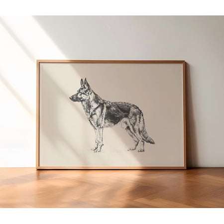German Shepherd Dog Antique Painting Country Dog Sketch Farmhouse Classic Collection Poster Poster Print Only