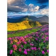 thumbnail image 4 of ABPHOTO Polyester Mountains Sky Grass Clouds Photography Background Azalea Scenery Backdrop Studio Props Wall Bedroom Photo Background 5x7ft, 4 of 5