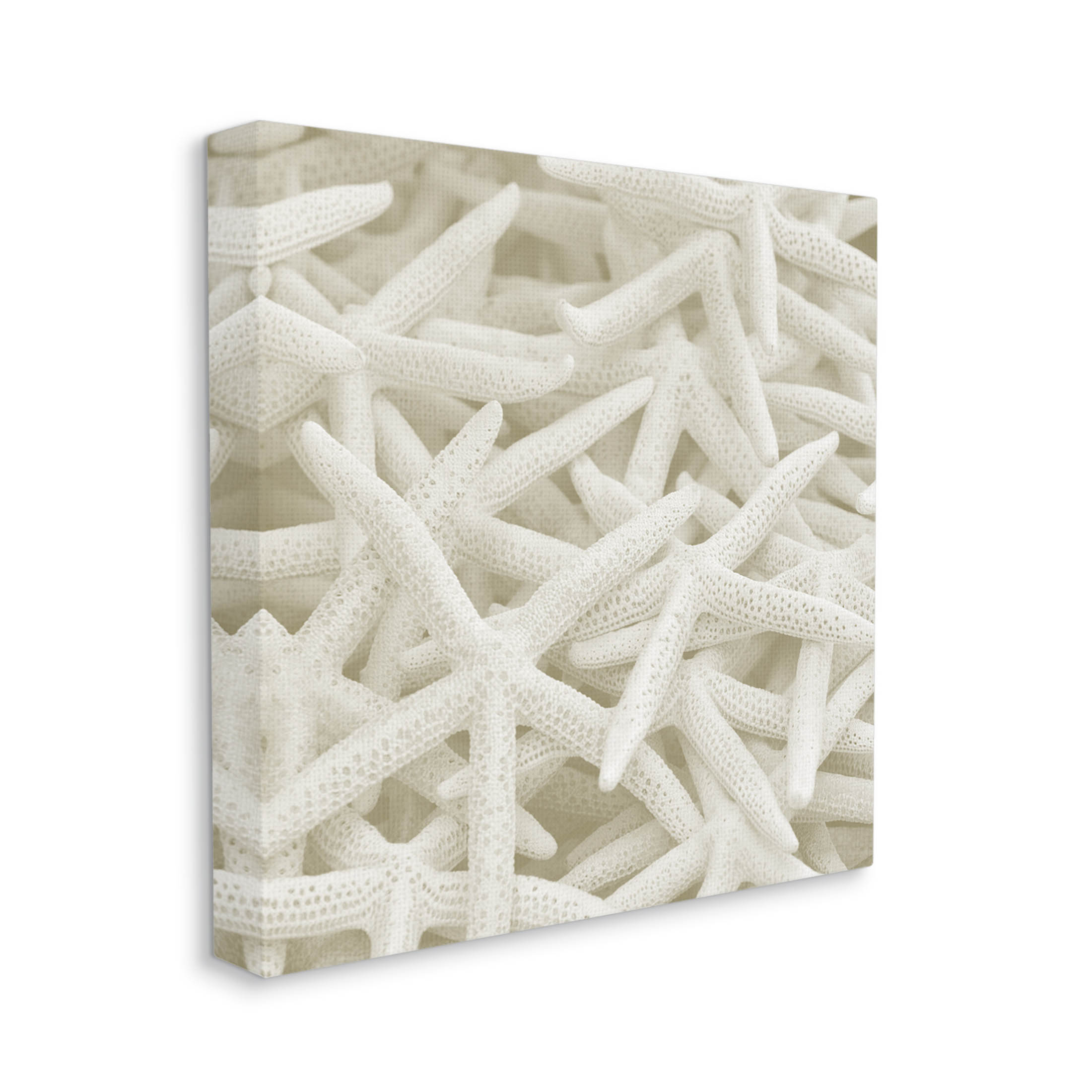 Nautical White Starfish Photography Coastal Photograph Gallery Wrapped Canvas Print Wall Art