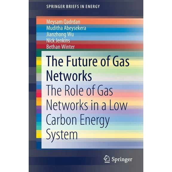 Springerbriefs in Energy The Future of Gas Networks: The Role of Gas Networks in a Low Carbon Energy System, (Paperback)
