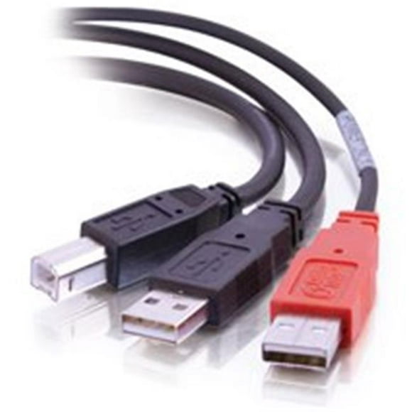 6ft USB 2.0 un B Mâle à Deux un Y-Câble Mâle