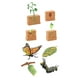 thumbnail image 4 of Conjuntos de ciclo de vida, figuras de juguete, ciencia, mariposas y plantas de frijol, regalo, colección realista de ciclo de vida para niños y niñas, 4 of 10