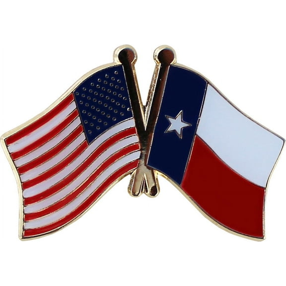Texas Friendship Pin