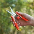 thumbnail image 6 of PURELY- Ergonomic Garden Pruning Shears With Sharp Stainless Steel Blade And Lock, 6 of 6