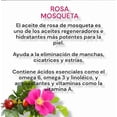 thumbnail image 3 of Crema de Rosa Mosqueta Morgan Cosmetics Crema de uso nocturno de 50gr, 3 of 3