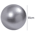thumbnail image 2 of Exercise Ball Balance Ball with Pump for Yoga Pilates Stretching Fitness Home Gym Workout Training-silver-frosted-55cm, 2 of 5