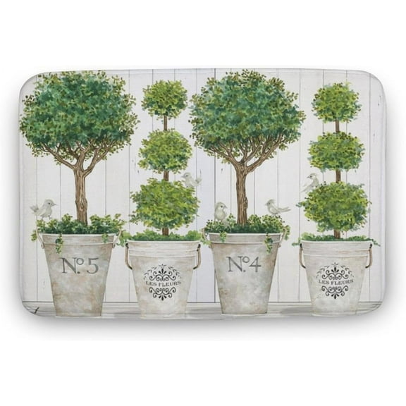 Floor Rug Topiary Still Life Door mat Entrance Indoor Outdoor Decorative Welcome Doormat Non-Slip Soft Bathroom Patio Kitchen Bedroom Entryway Floor Mats 30x17
