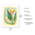 thumbnail image 2 of Bird of Paradise - Hawai’i - Vintage Hawaiian Airbrush Art by Ted Mundorff c.1940s - Bamboo Fine Art 290gsm Paper (Unframed) 17x22in, 2 of 4
