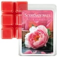 thumbnail image 2 of (5 pack) Hello Gorgeous Scented Wax Melts, ScentSationals, 2.5 oz, 2 of 7