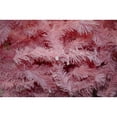 thumbnail image 2 of Arbol de Navidad Monarca de LUJO NAVIPLASTIC 130 cm ROSA 216 puntas, 2 of 2
